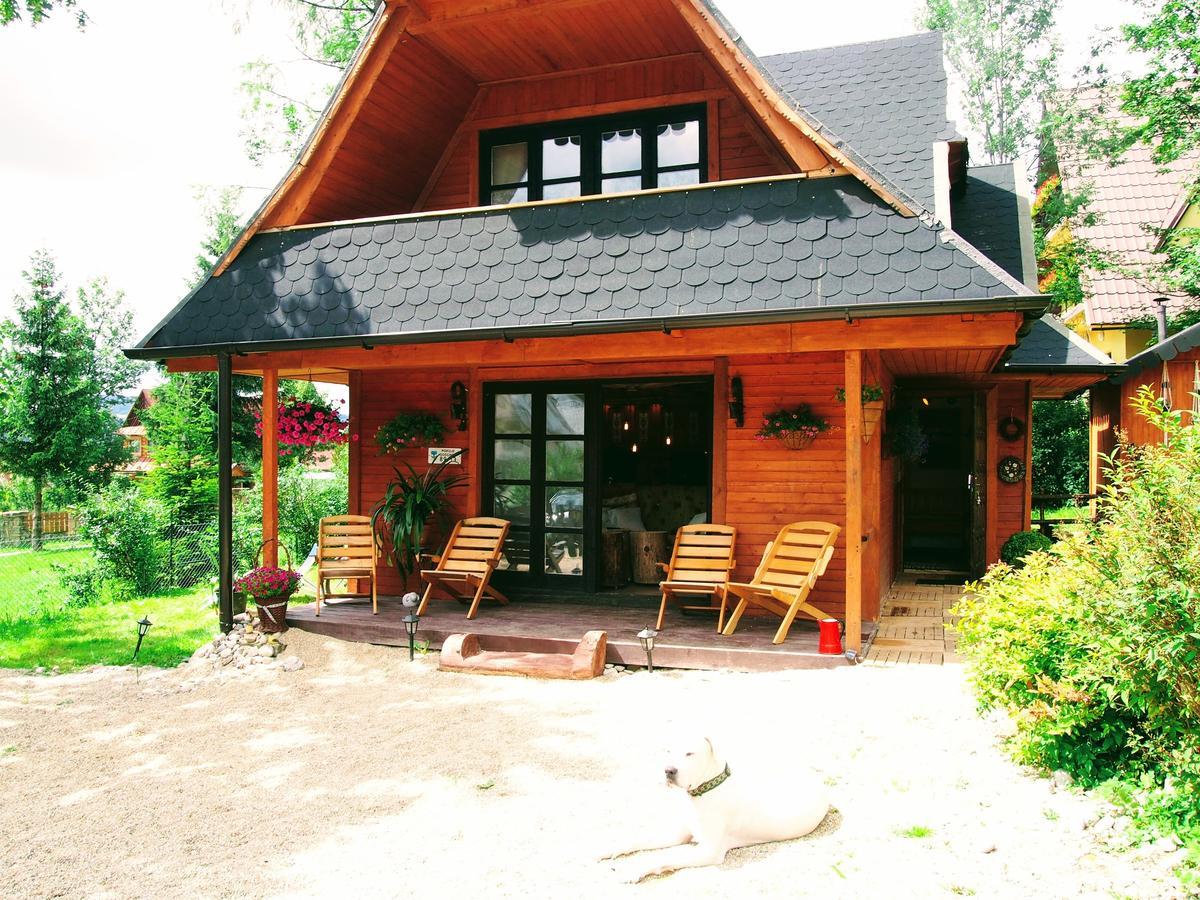 Dziko Hanka Koscielisko Exterior photo